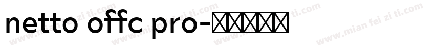 netto offc pro字体转换
